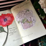 Flower Painting and a Sketch