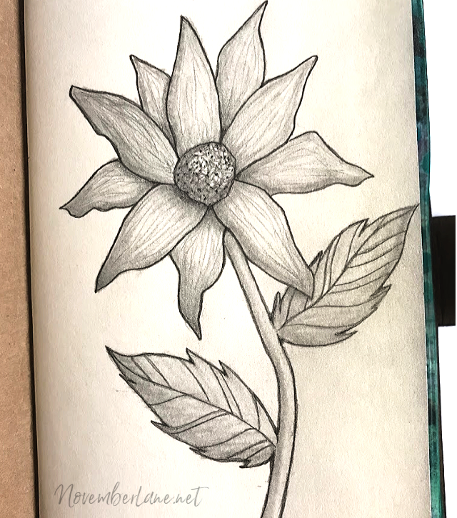 Drawing Flower Pencil Sketch - Monochrome Photography - Tropical Drawings  Transparent PNG